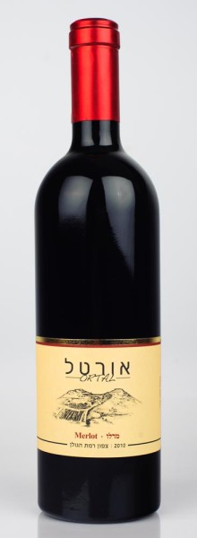 מרלו אורטל | אורטל