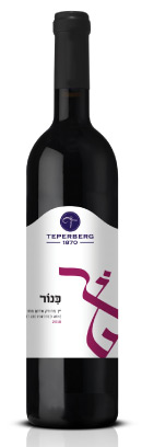 כינור | טפרברג