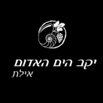 הים האדום