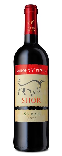 סירה שור | שילה