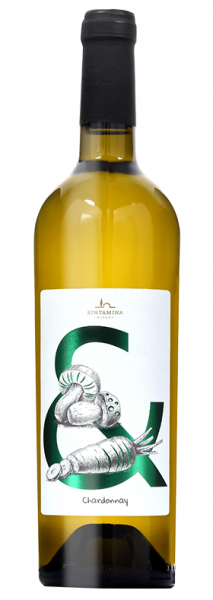 שרדונה wine& – בנימינה