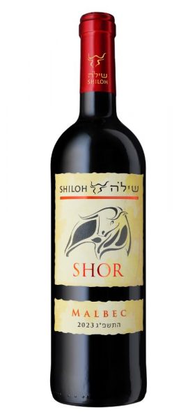 מלבק שור | שילה